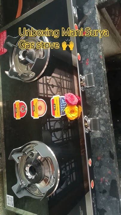 mani surya lp gas stove